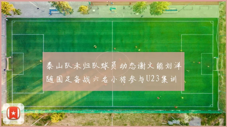 泰山队未归队球员动态谢文能刘洋随国足备战六名小将参与U23集训